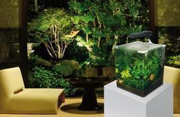 Askoll Fluval Ebi.
